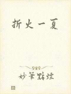 折火一夏封面