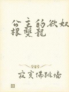 公主的欲奴h四根双龙