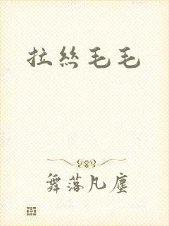 拉丝毛毛