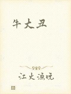 牛大丑封面
