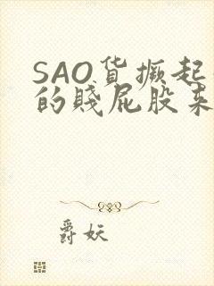 SAO货撅起你的贱屁股来