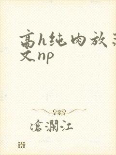 高h纯肉放荡h文np