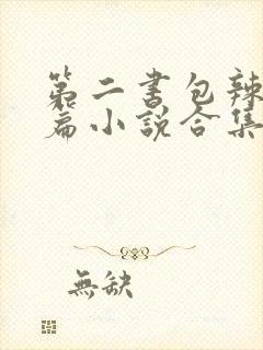 第二书包辣网短篇小说合集