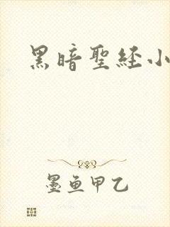 黑暗圣经小说封面