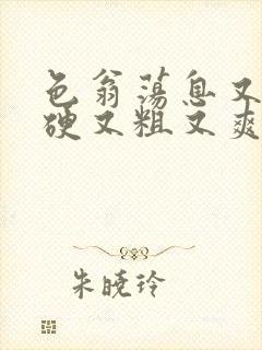 色翁荡息又大又硬又粗又爽小莹