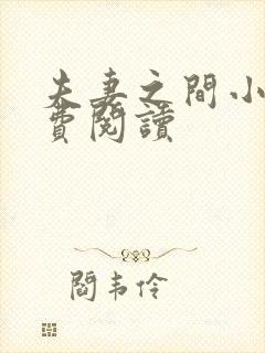 夫妻之间小说免费阅读