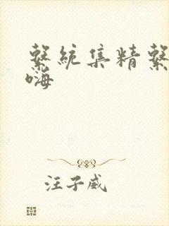 系统集精系统高嗨封面