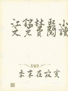 江铭林熙小说全文免费阅读封面