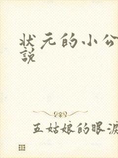 状元的小公主小说