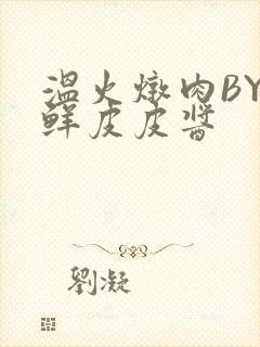 温火炖肉BY海鲜皮皮酱