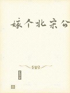 嫁个北宋公务员