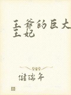 王爷的巨大进入王妃封面