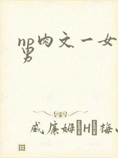 np肉文一女多男