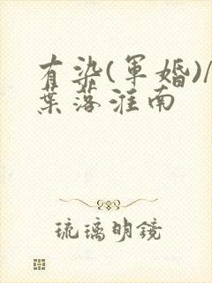 有染(军婚)/叶落淮南