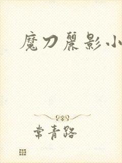 魔刀丽影小说