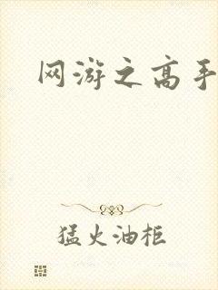 网游之高手寂寞