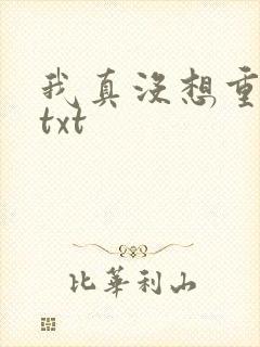 我真没想重生啊txt封面