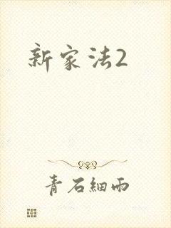 新家法2封面
