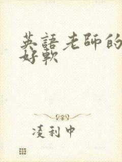 英语老师的兔子好软