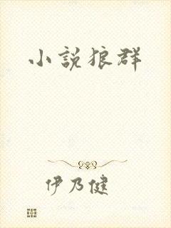 小说狼群