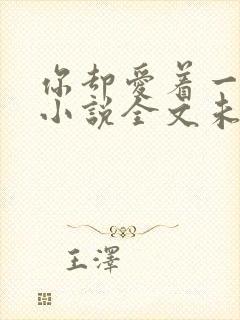 你却爱着一个他小说全文未删减免费封面