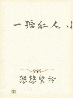 一号红人 小说
