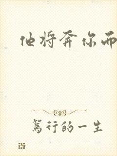 他将奔你而来封面