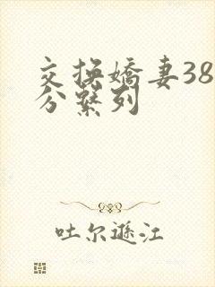 交换娇妻38部分系列