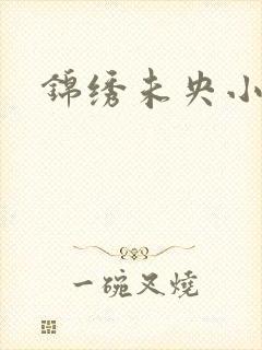 锦绣未央小说
