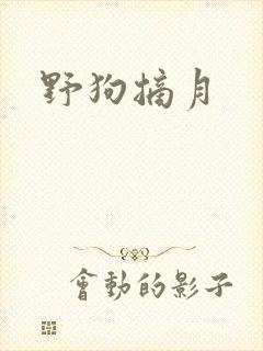 野狗摘月