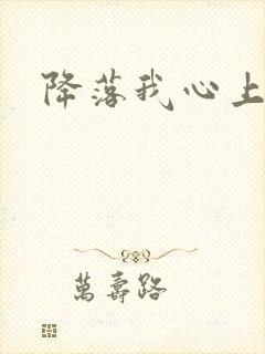 降落我心上封面