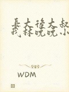 长大后大叔狂宠我林晚晚小说