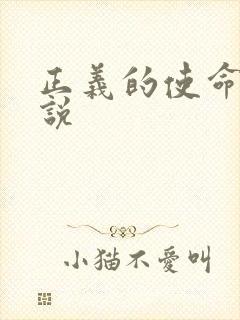 正义的使命 小说