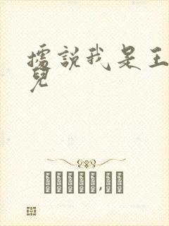 据说我是王的女儿封面