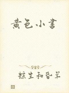 黄色小书封面