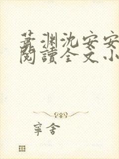 萧渊沈安安免费阅读全文小说封面