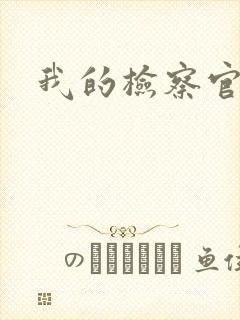 我的检察官先生