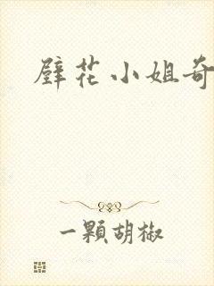 壁花小姐奇遇记