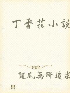 丁香花小说封面