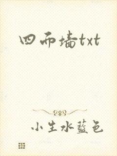 四面墙txt