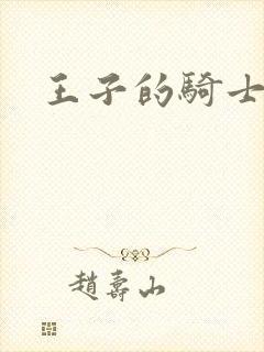王子的骑士封面
