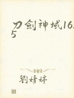 刀剑神域16.5