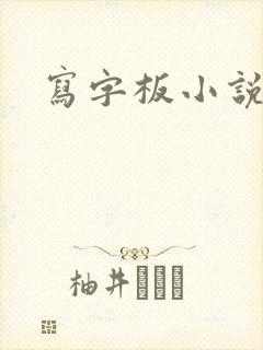 写字板小说