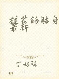 校花的贴身高手最新封面