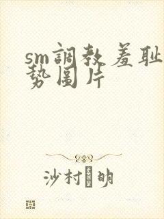 sm调教羞耻姿势图片