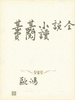 某某小说全文免费阅读