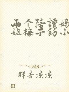 两个陪读妈妈赵姐梅子的小说