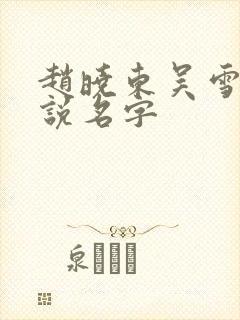 赵晓东吴雪晴小说名字