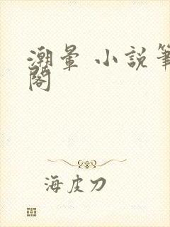 潮晕 小说笔趣阁封面