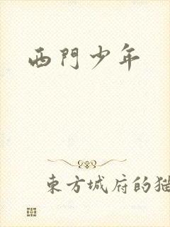 西门少年